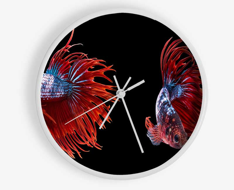 Siamese Fighters Clock - Wallart-Direct UK