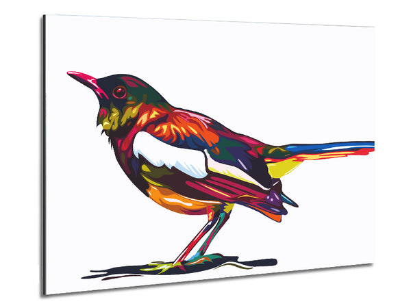 Colour splash blackbird