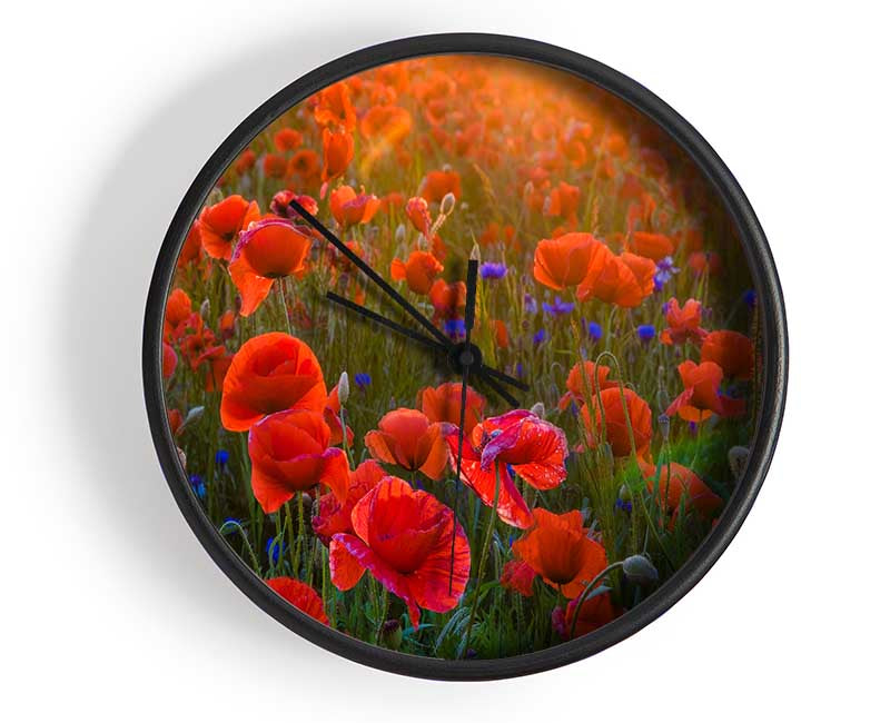 Red Poppies sun ray Clock - Wallart-Direct UK