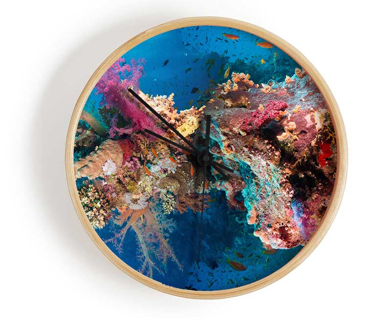 Coral reef habitat Clock - Wallart-Direct UK