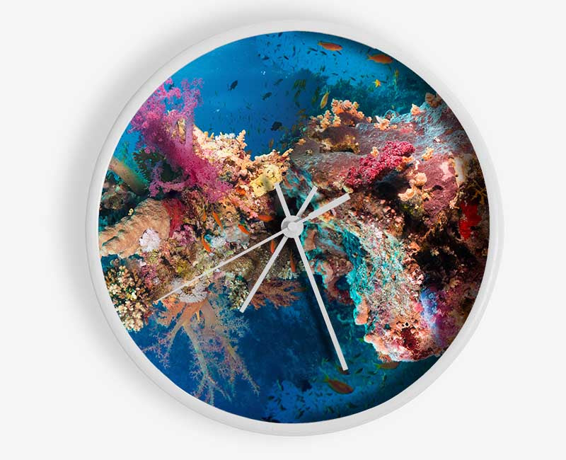 Coral reef habitat Clock - Wallart-Direct UK