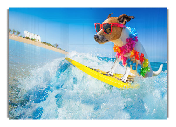 Dog with sunglasses surfing