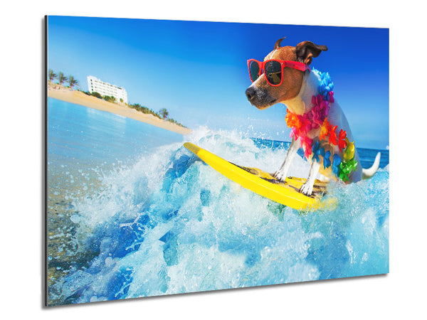 Dog with sunglasses surfing