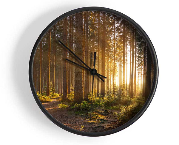 Sunset through the british trees Clock - Wallart-Direct UK