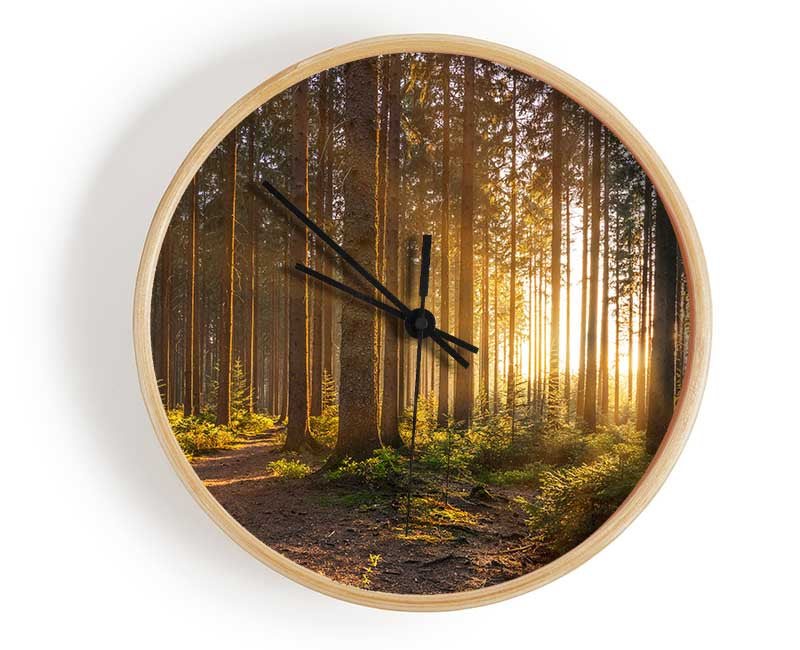 Sunset through the british trees Clock - Wallart-Direct UK