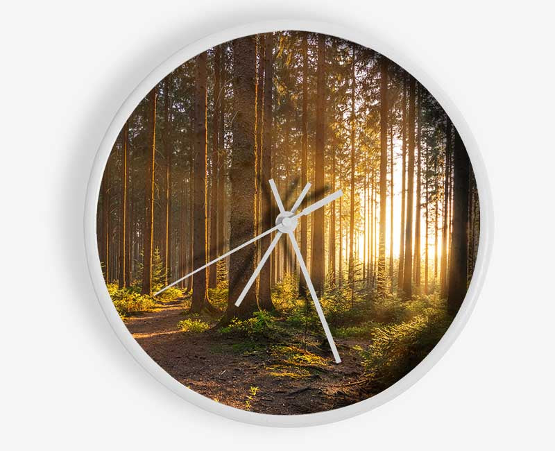 Sunset through the british trees Clock - Wallart-Direct UK