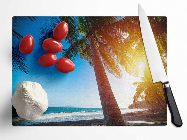 Palm tree close up on beach Glass Chopping Board