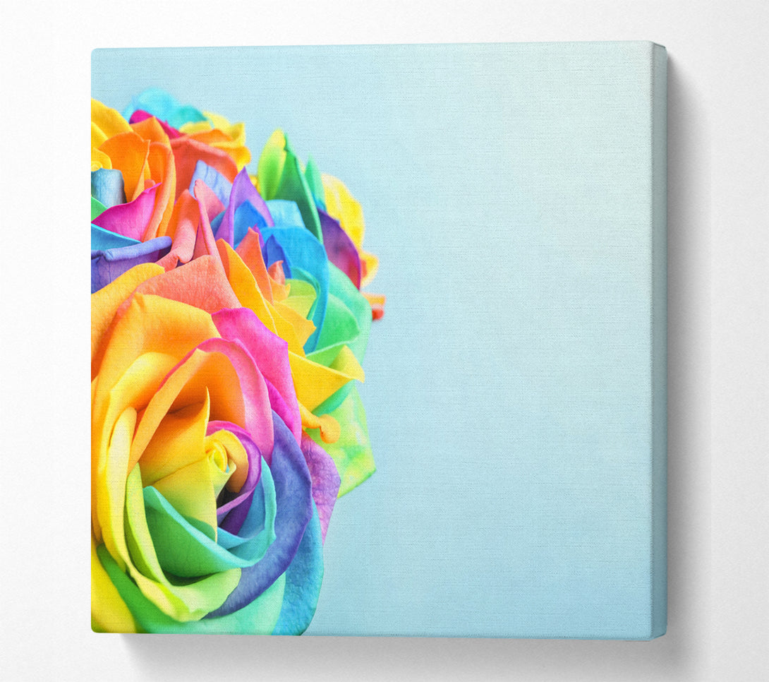 A Square Canvas Print Showing Rose colour rainbow Square Wall Art