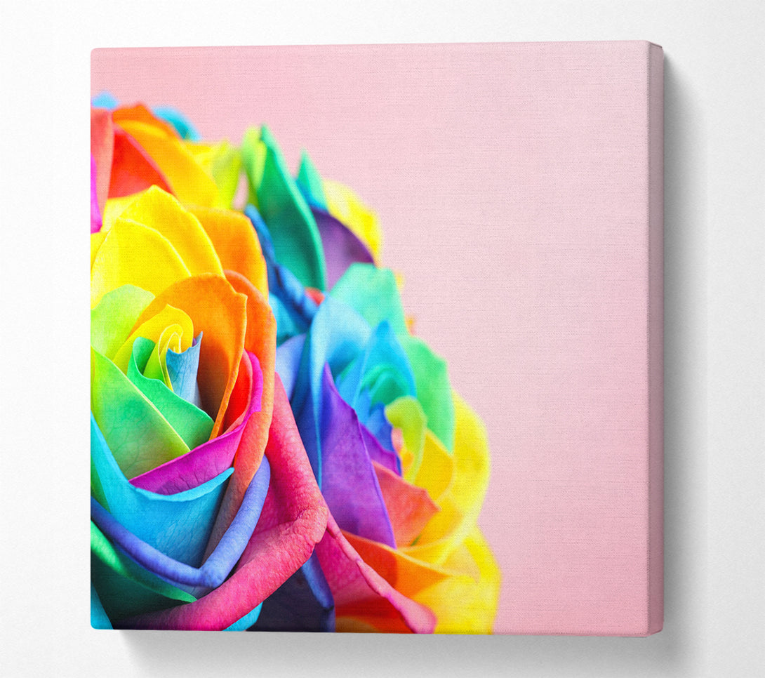 A Square Canvas Print Showing Rainbow closeup rose Square Wall Art