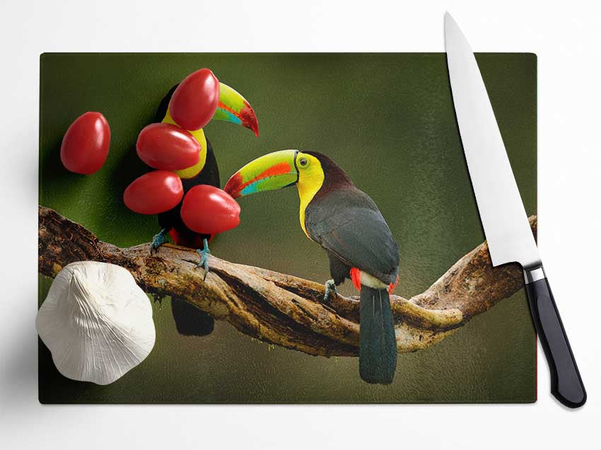 Two Toucans on branch Glass Chopping Board