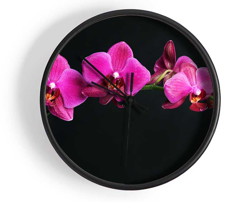 Pink Orchids Curve Clock - Wallart-Direct UK