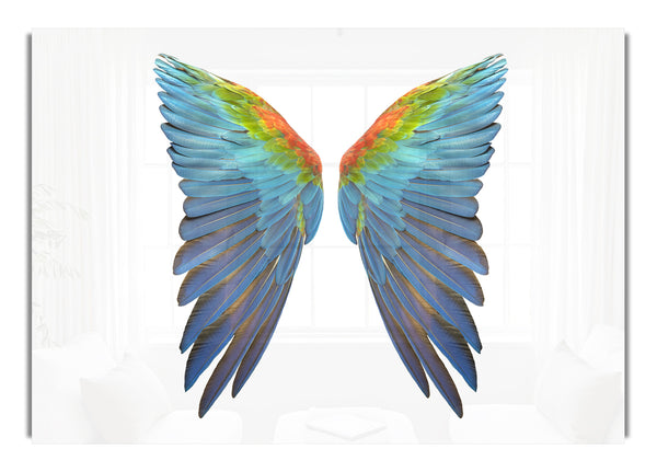 Parrot Vibrant wings