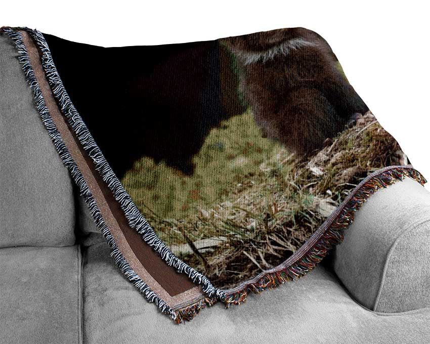 Two bear cubs playing Woven Blanket