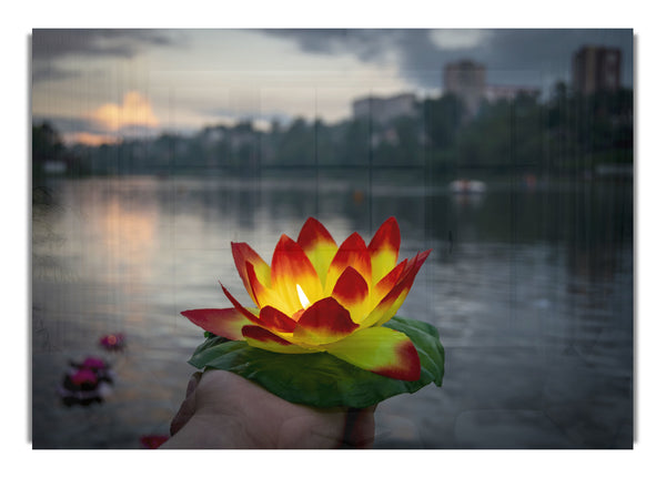 Flower candle in city view