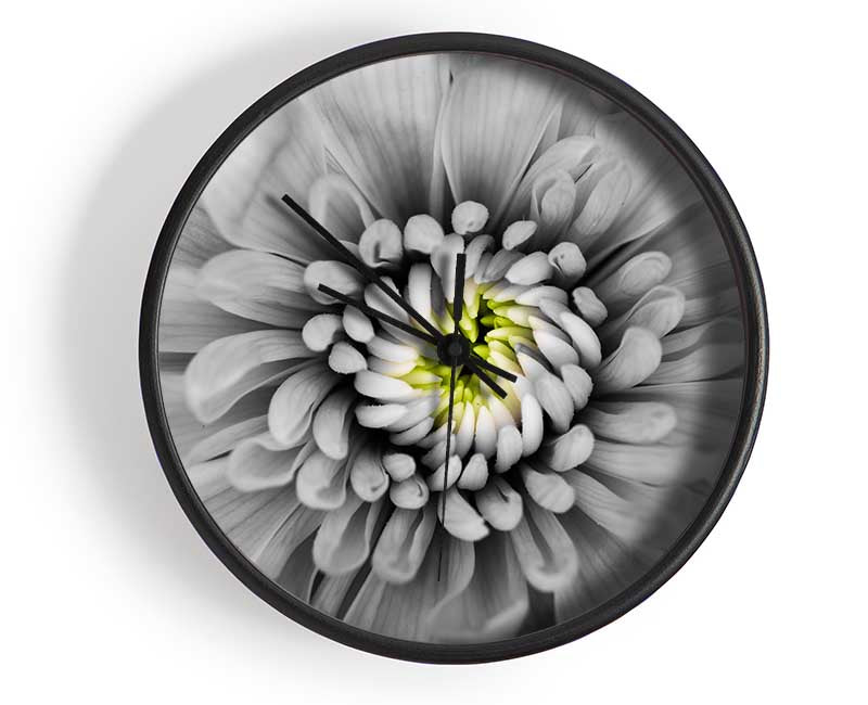 Close up flower in black and white Clock - Wallart-Direct UK