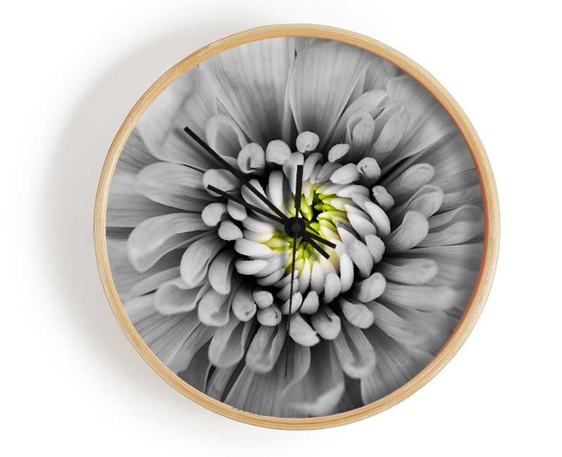 Close up flower in black and white Clock - Wallart-Direct UK