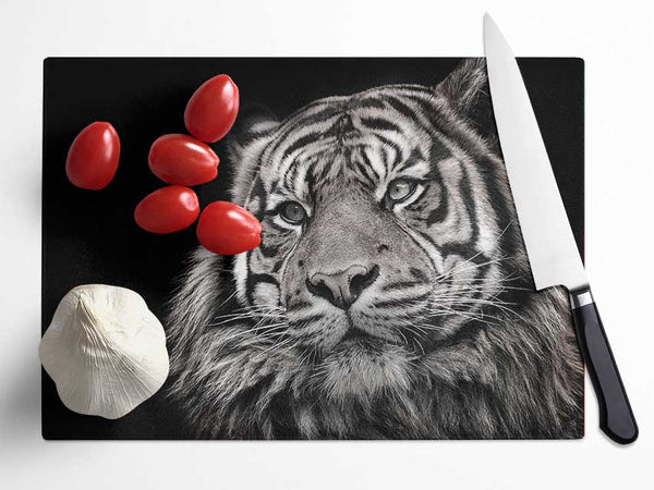 Handsome Black and white tiger Glass Chopping Board