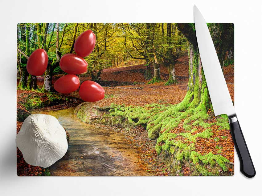 Gentle shallow stream woodland Glass Chopping Board