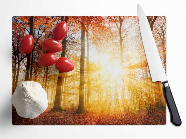 Great british autumn woodland Glass Chopping Board