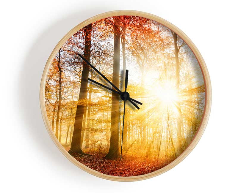 Great british autumn woodland Clock - Wallart-Direct UK