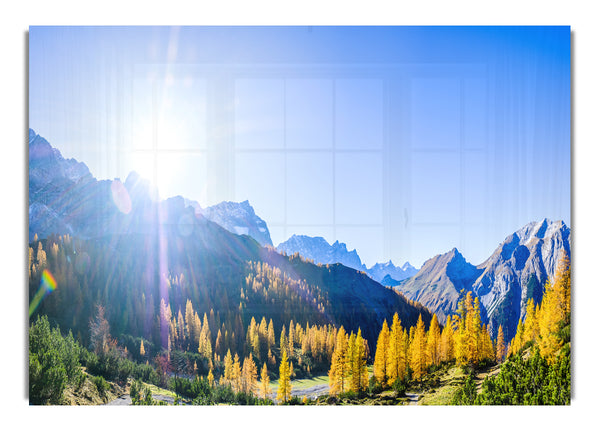 Mountain view of tall trees sunrise