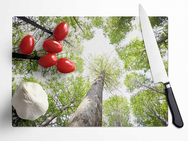 Up the tree to the skies Glass Chopping Board