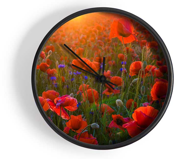 Red poppies under the sunset Clock - Wallart-Direct UK