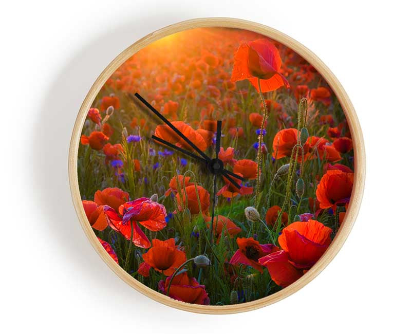 Red poppies under the sunset Clock - Wallart-Direct UK