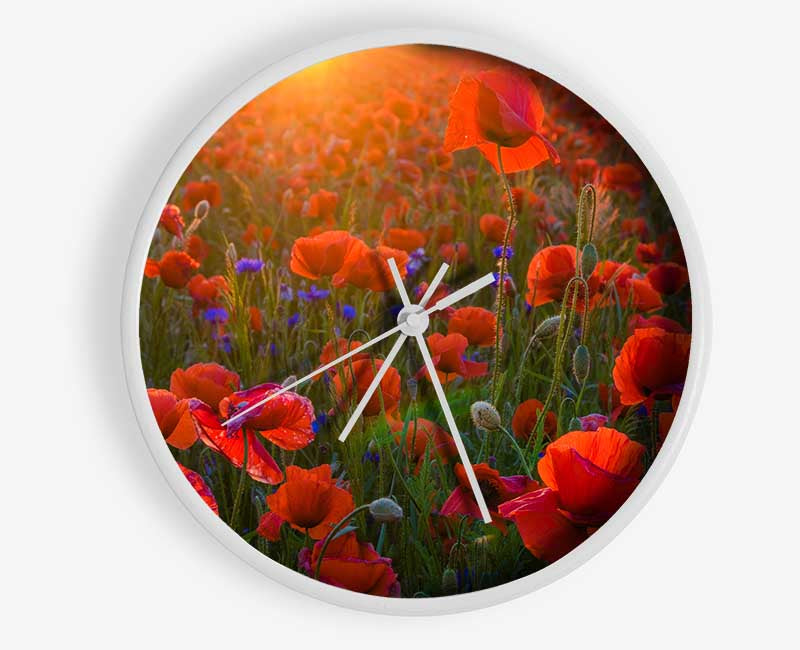 Red poppies under the sunset Clock - Wallart-Direct UK