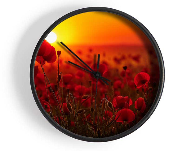 Poppies in the sunset reds Clock - Wallart-Direct UK