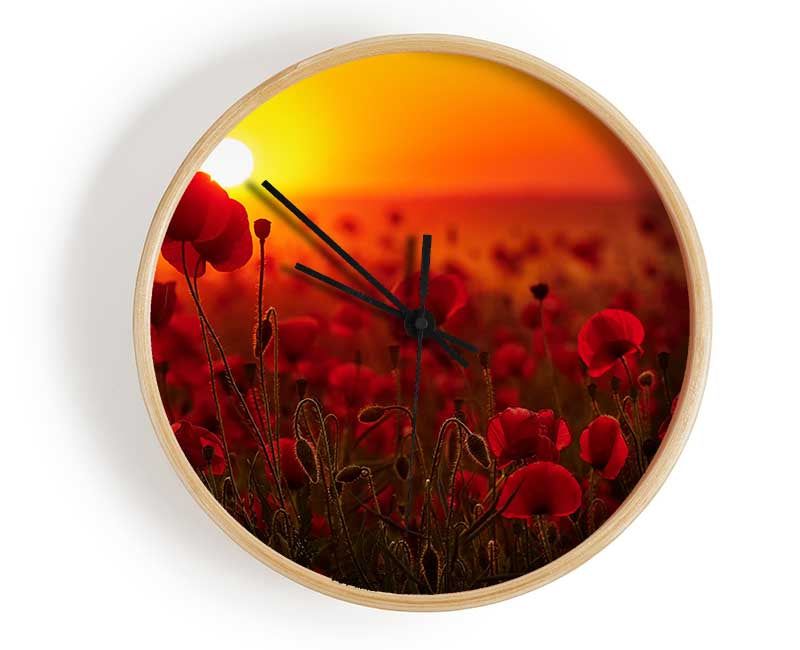 Poppies in the sunset reds Clock - Wallart-Direct UK