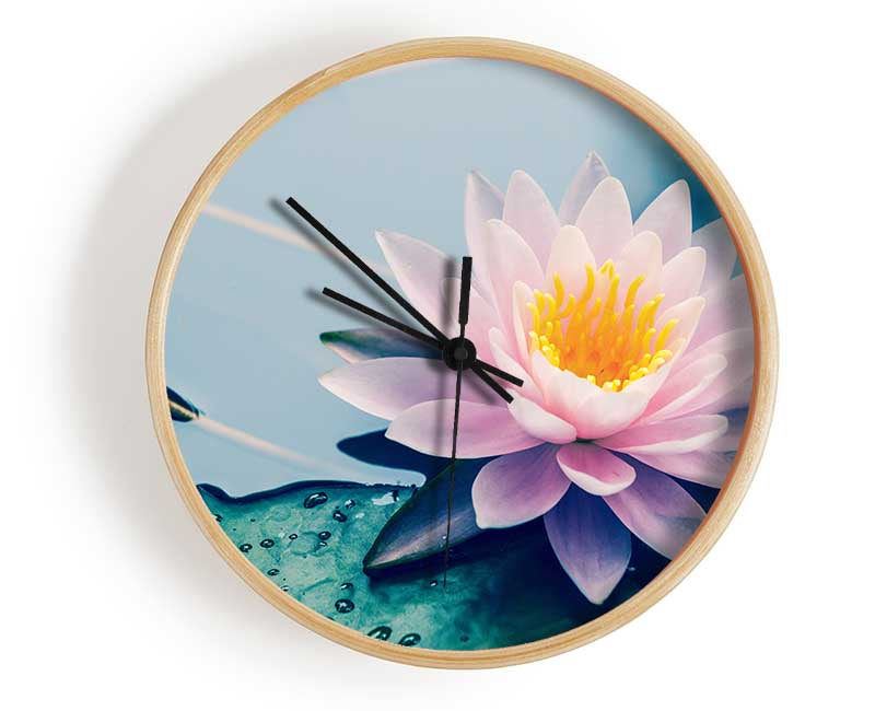 Lotus on the lake close up Clock - Wallart-Direct UK