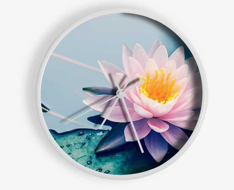 Lotus on the lake close up Clock - Wallart-Direct UK