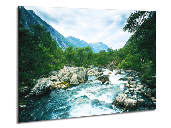 Stunning rapids of water forest