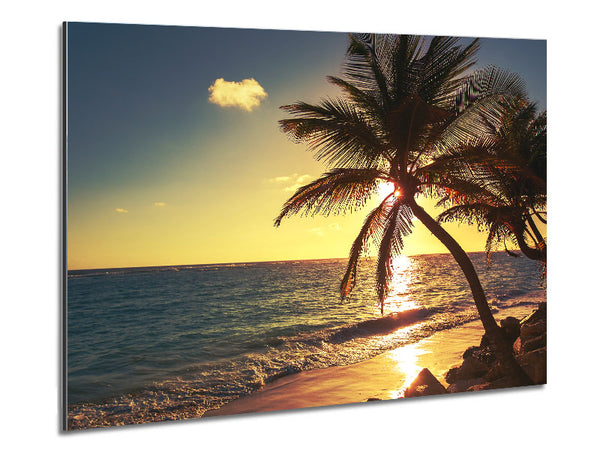 Palm tree paradise at dusk