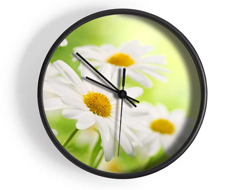 Daisies up close glowing Clock - Wallart-Direct UK