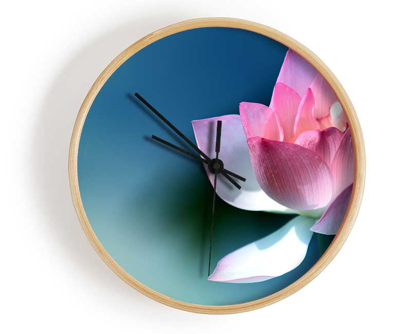 Pink flower in detail Clock - Wallart-Direct UK