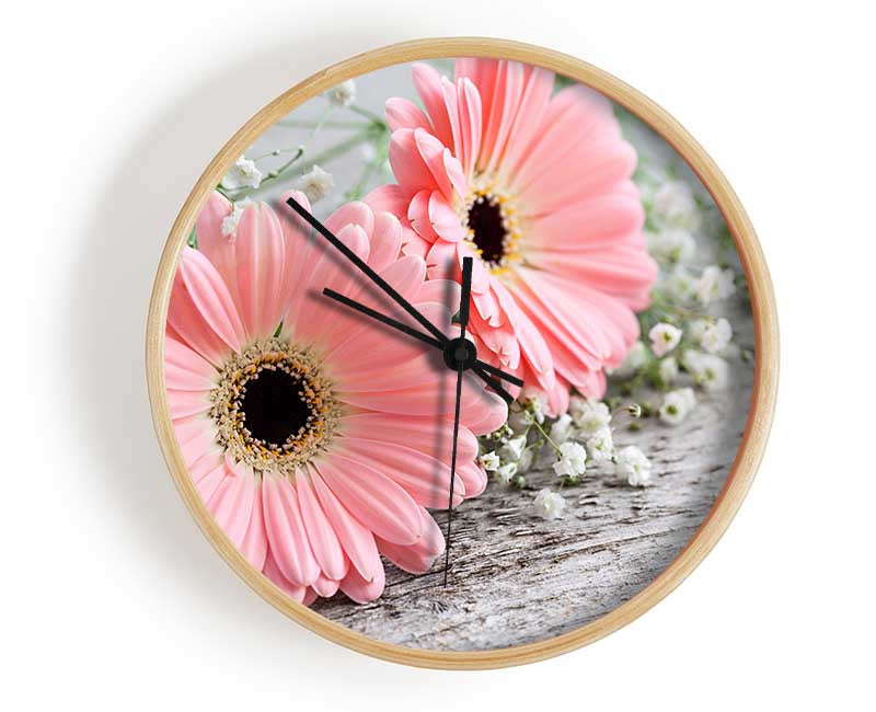 Pink gerbera laying down close Clock - Wallart-Direct UK