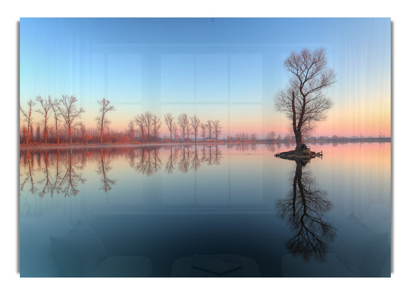 Ice cold trees in the river