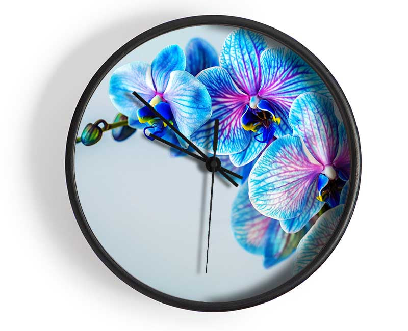 Blue orchids close up Clock - Wallart-Direct UK