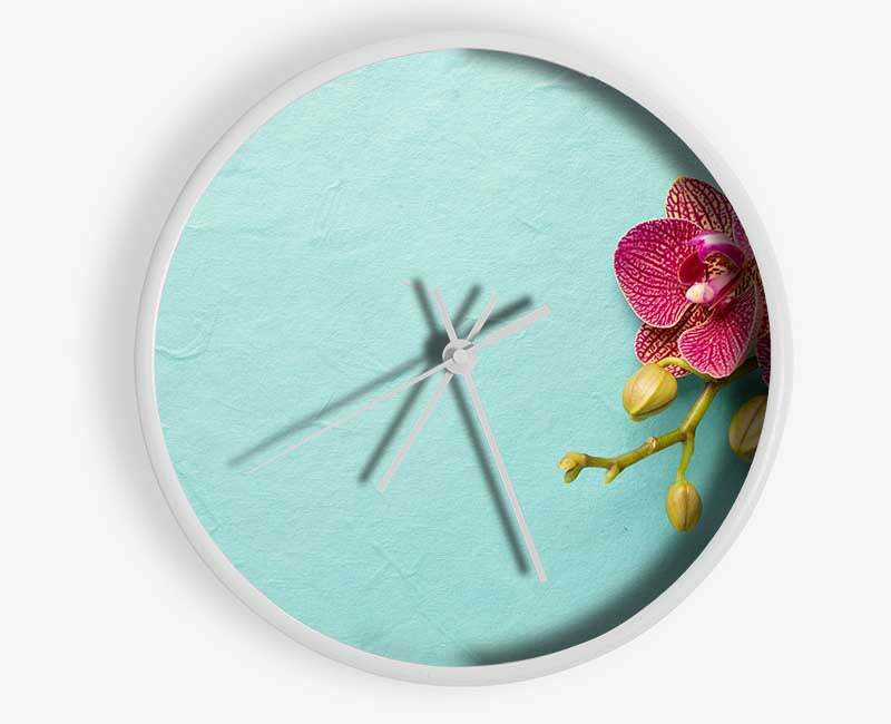 Orchids on the blue Clock - Wallart-Direct UK