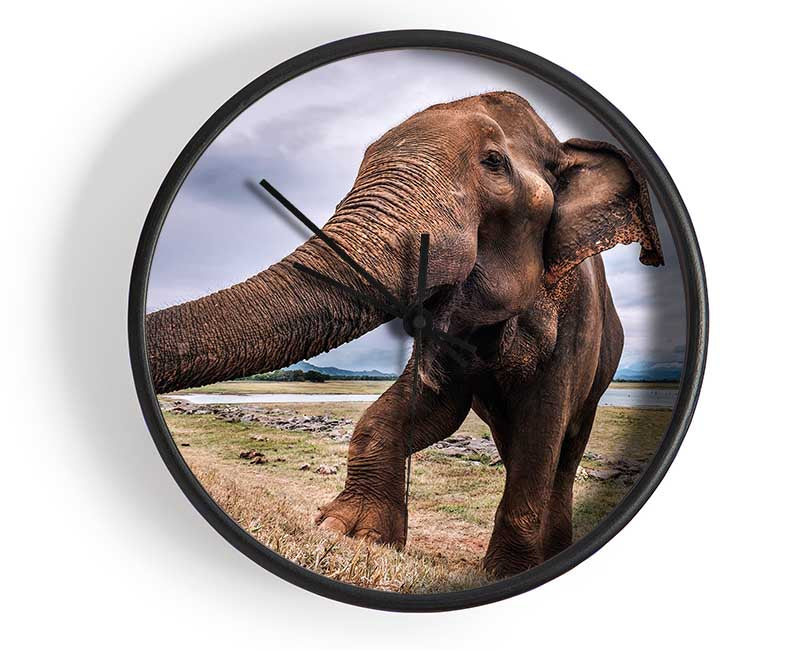 Elephant coming up close Clock - Wallart-Direct UK