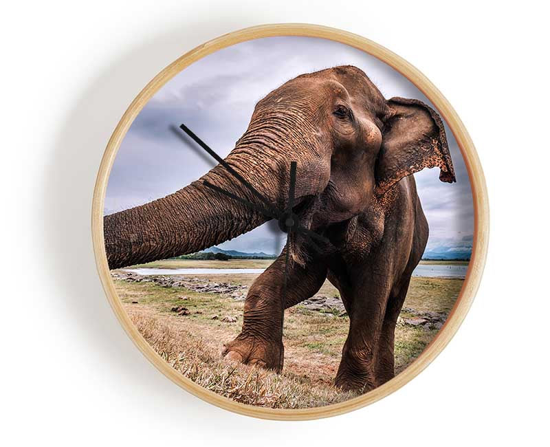 Elephant coming up close Clock - Wallart-Direct UK