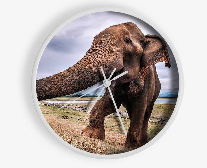 Elephant coming up close Clock - Wallart-Direct UK