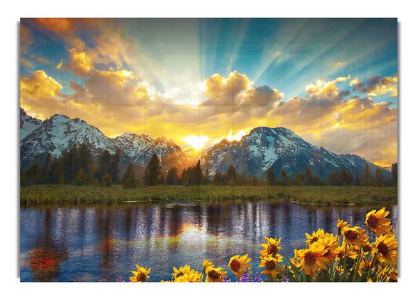 Flowers in front of the mountains