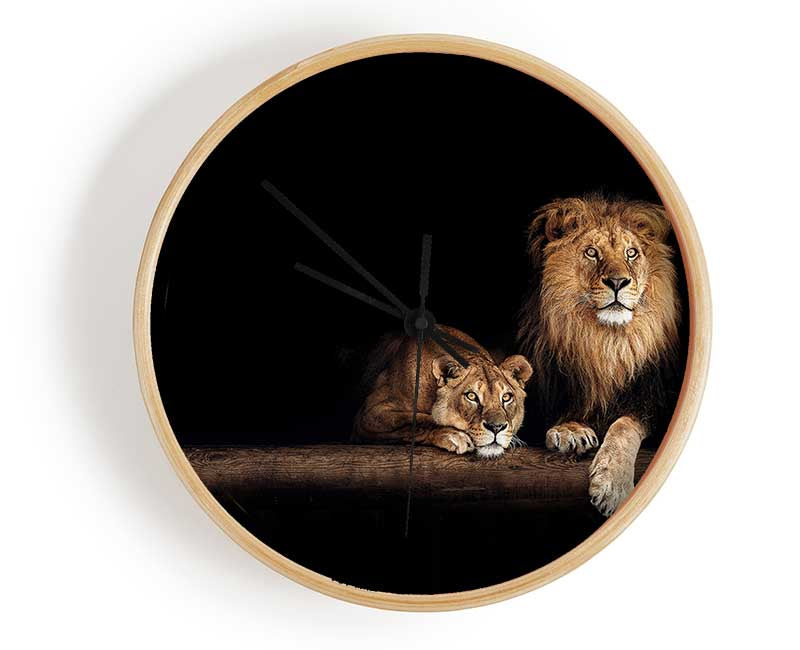 Lions resting in the dark Clock - Wallart-Direct UK