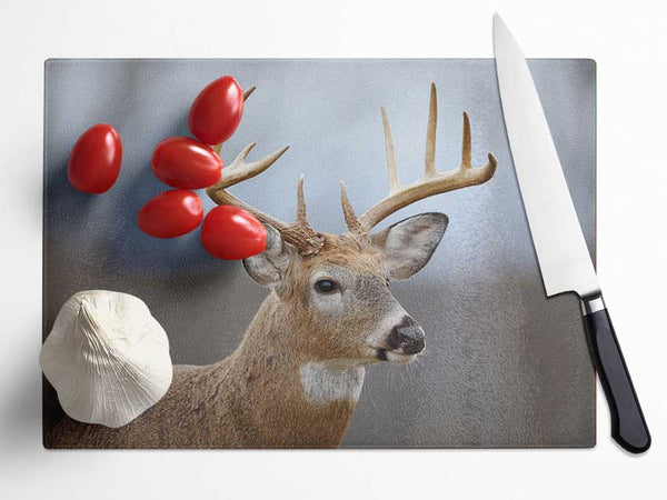 Stag looking onwards Glass Chopping Board