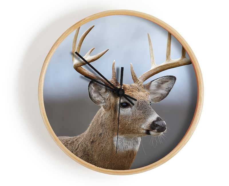 Stag looking onwards Clock - Wallart-Direct UK