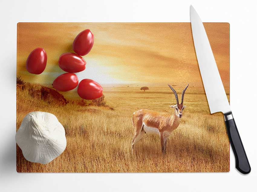 Gazelle in the grasslands Glass Chopping Board