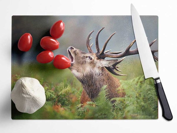 Elk call Glass Chopping Board